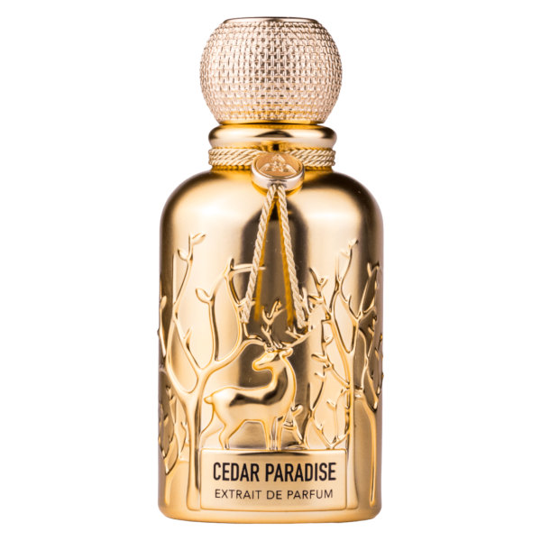 Auraa Desire Cedar Paradise Extrait de Parfum 100 ml