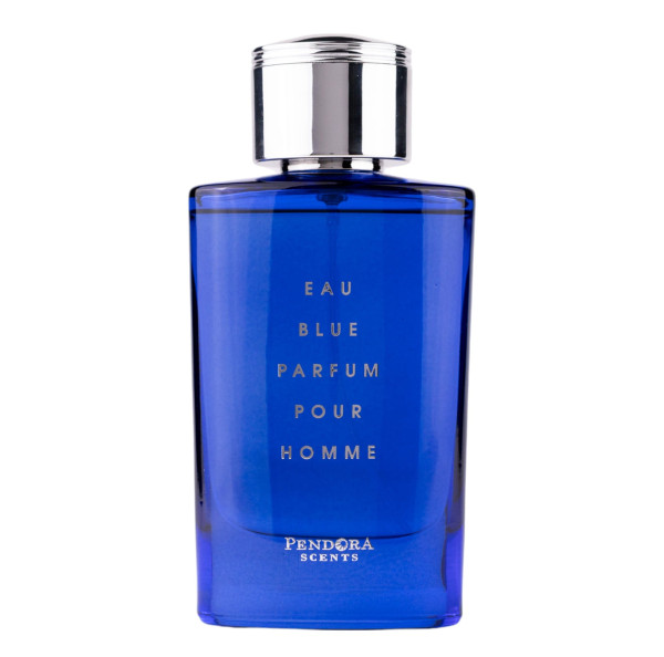 Pendora Scents Eau Blue pour Homme Eau de Parfum 100 ml