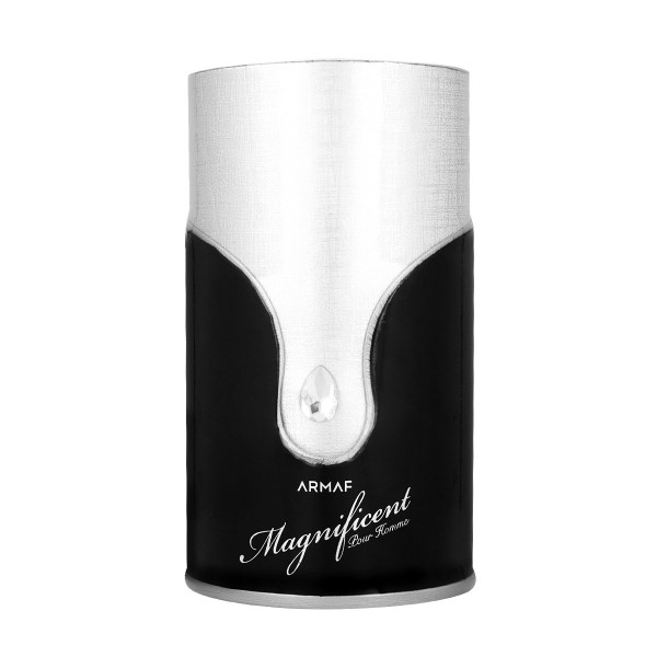 Armaf Magnificent Pour Homme Eau De Parfum 100 ml