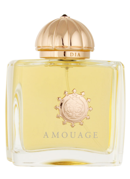 Amouage Dia Woman Eau De Parfum 100 ml