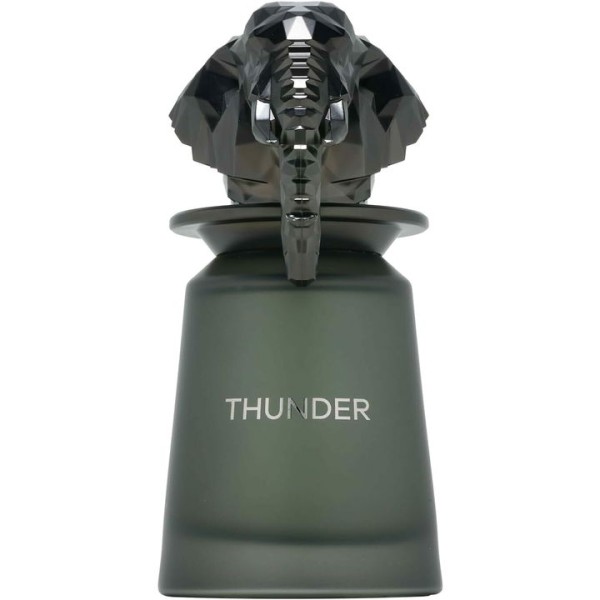 French Avenue Thunder Eau De Parfum 100 ml