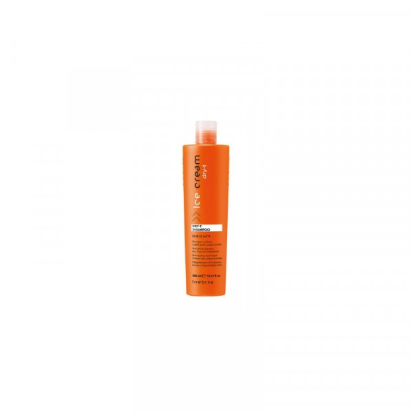 Inebrya Dry-T Shampoo 1000 ml